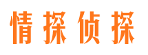 黎平市婚外情取证